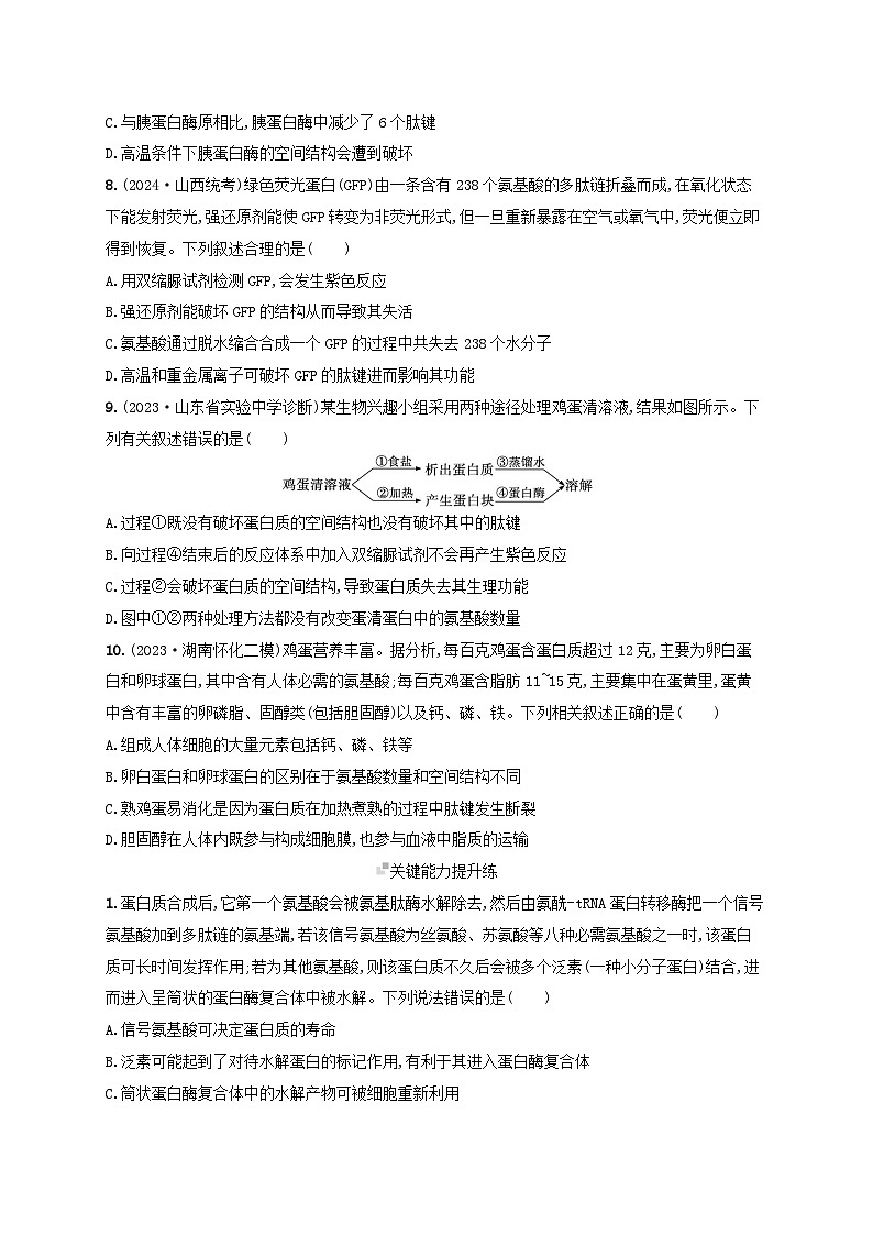 备战2025届高考生物一轮总复习第1单元细胞的概述细胞的分子组成课时规范练3蛋白质的结构与功能03