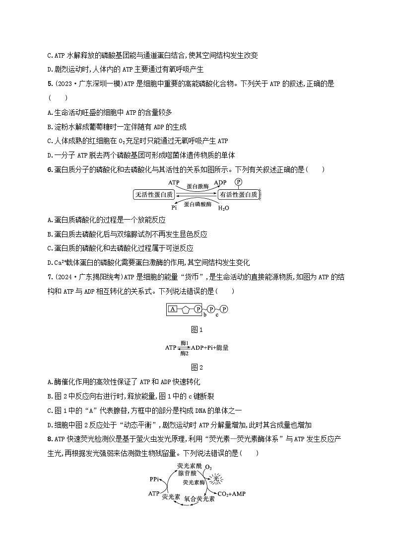 备战2025届高考生物一轮总复习第3单元细胞的代谢课时规范练11细胞的能量“货币”ATP第2页
