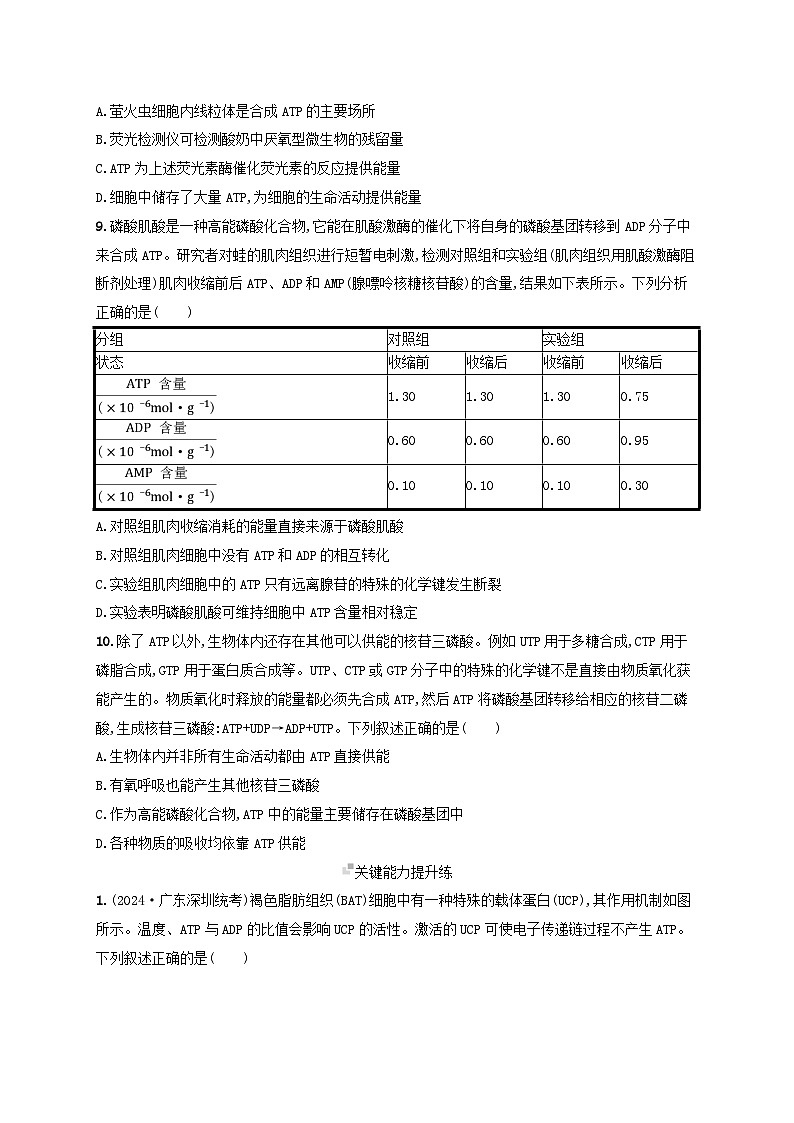 备战2025届高考生物一轮总复习第3单元细胞的代谢课时规范练11细胞的能量“货币”ATP第3页