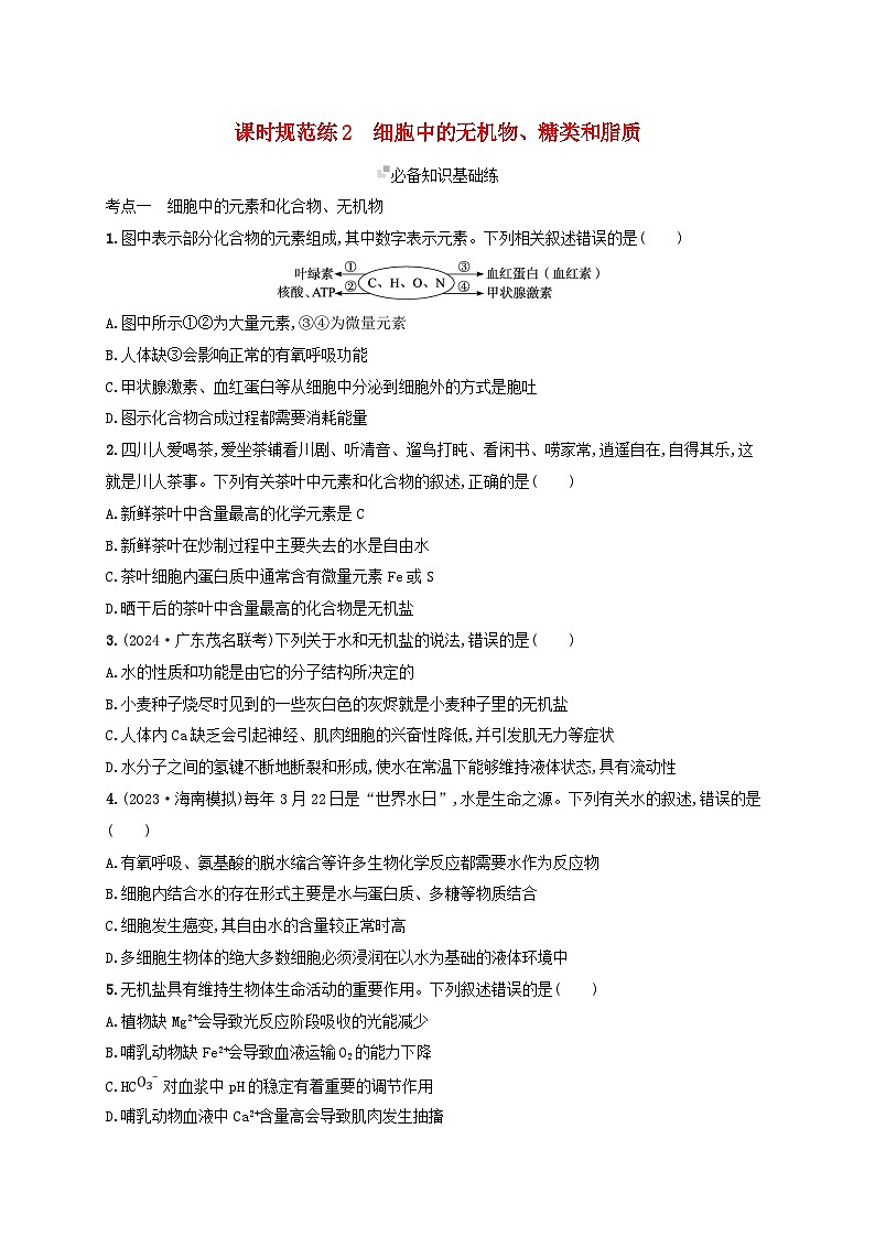 备战2025届高考生物一轮总复习第1单元细胞的概述细胞的分子组成课时规范练2细胞中的无机物糖类和脂质第1页