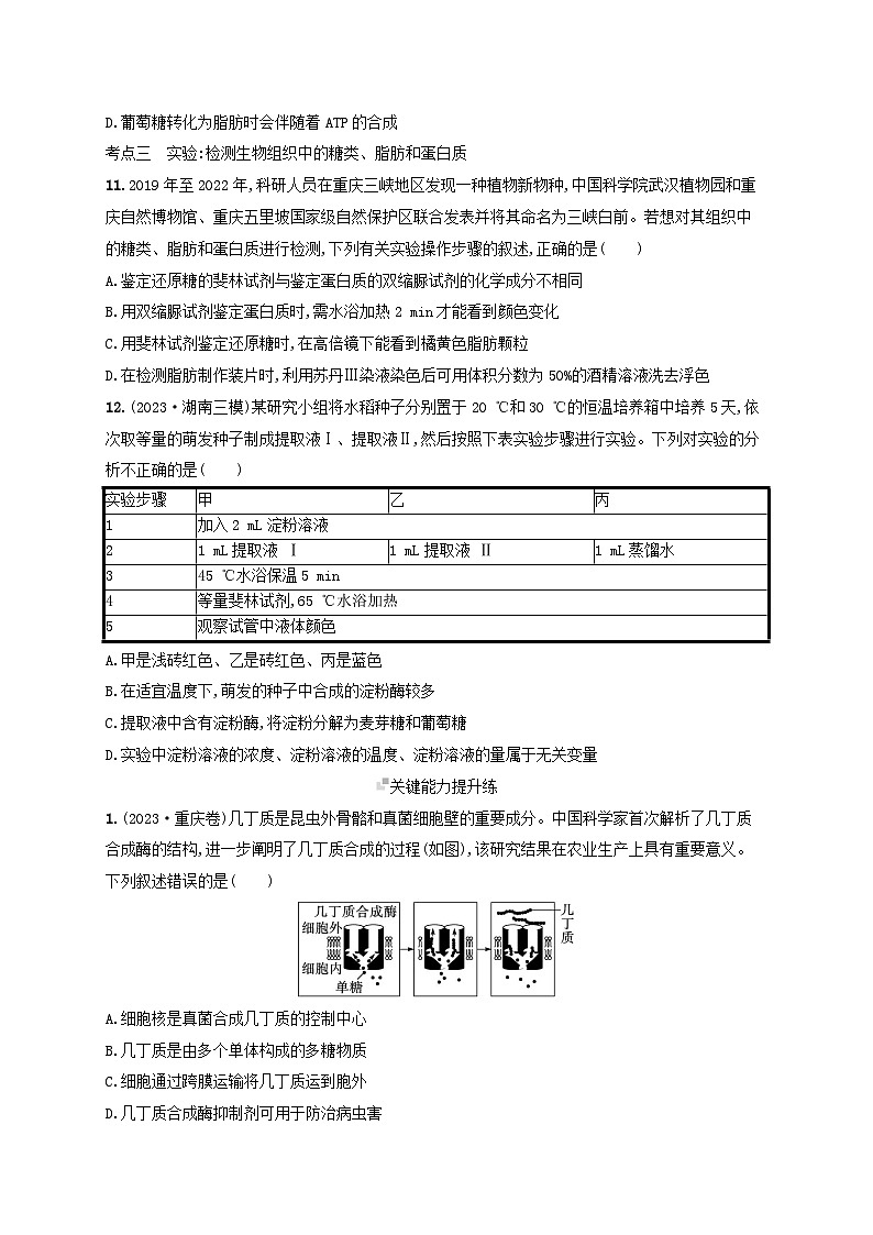 备战2025届高考生物一轮总复习第1单元细胞的概述细胞的分子组成课时规范练2细胞中的无机物糖类和脂质第3页