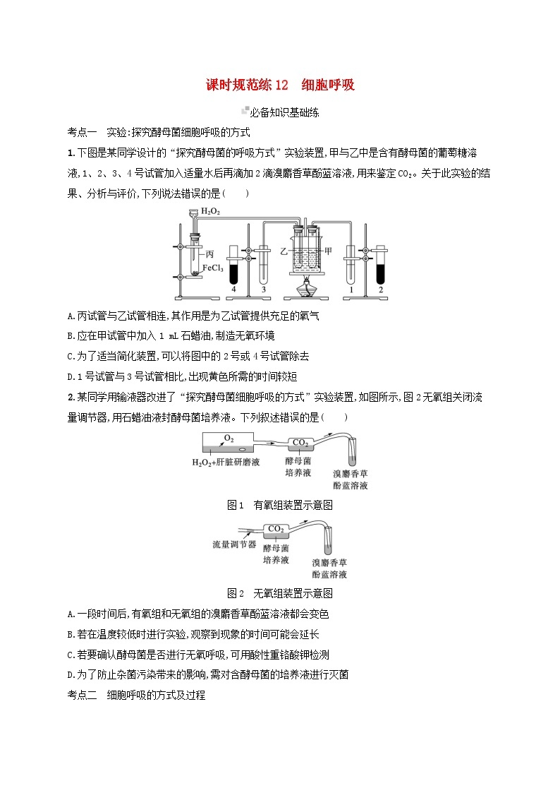 备战2025届高考生物一轮总复习第3单元细胞的代谢课时规范练12细胞呼吸01