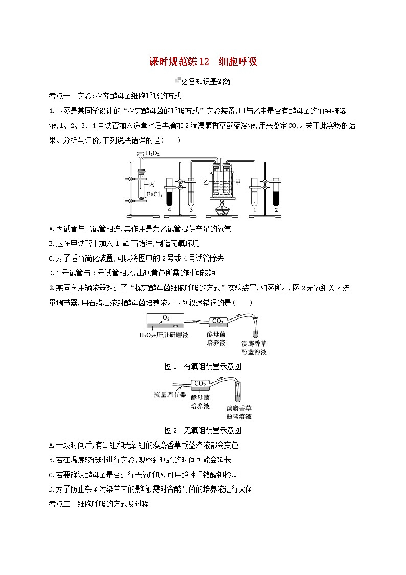备战2025届高考生物一轮总复习第3单元细胞的代谢课时规范练12细胞呼吸第1页