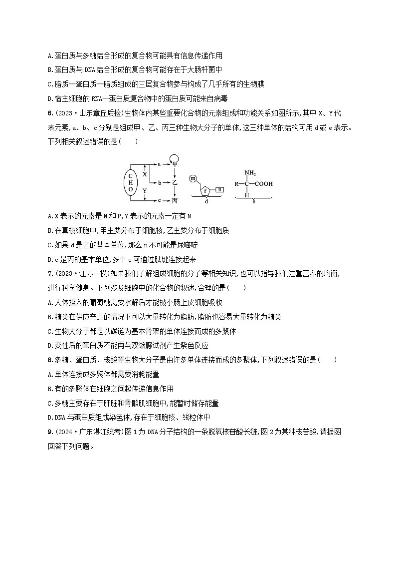备战2025届高考生物一轮总复习第1单元细胞的概述细胞的分子组成课时规范练4核酸生物大分子的多样性02