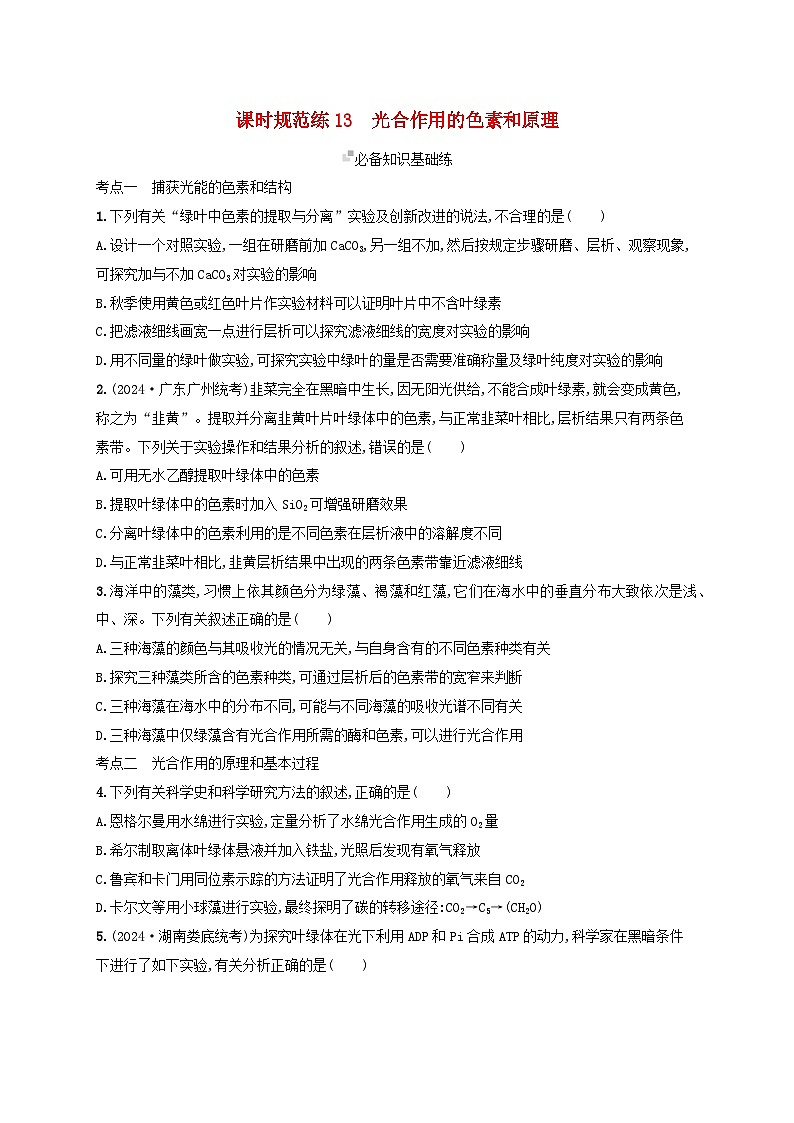 备战2025届高考生物一轮总复习第3单元细胞的代谢课时规范练13光合作用的色素和原理第1页
