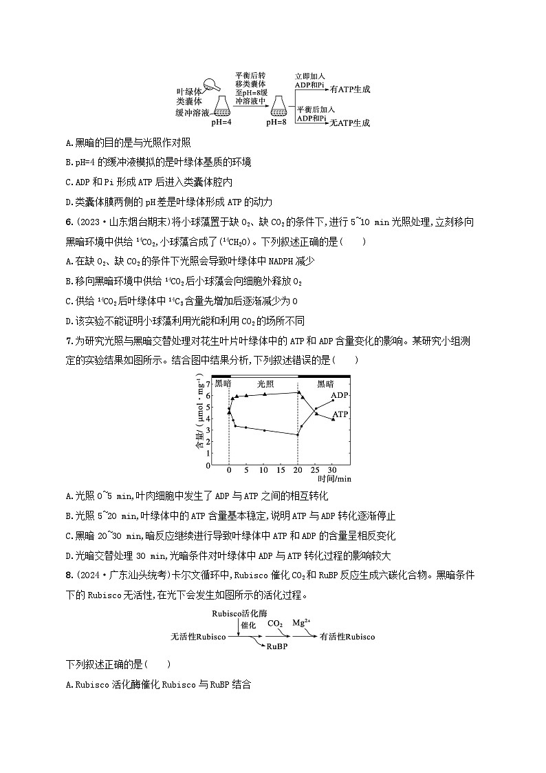 备战2025届高考生物一轮总复习第3单元细胞的代谢课时规范练13光合作用的色素和原理第2页