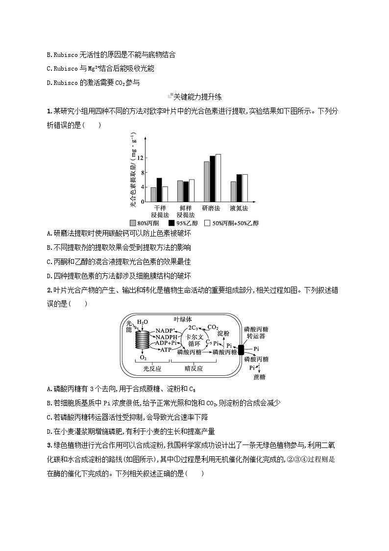 备战2025届高考生物一轮总复习第3单元细胞的代谢课时规范练13光合作用的色素和原理第3页