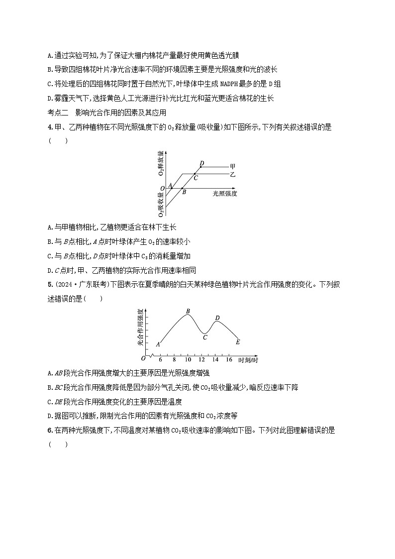 备战2025届高考生物一轮总复习第3单元细胞的代谢课时规范练14光合作用的影响因素及其应用02