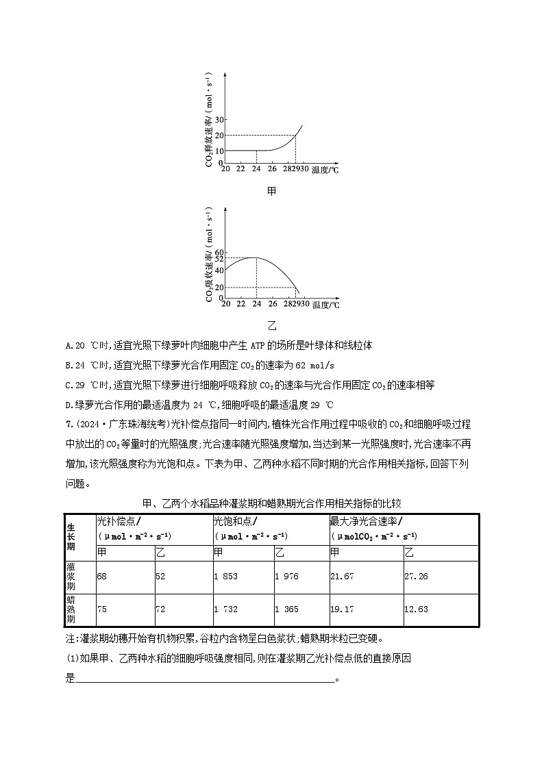 备战2025届高考生物一轮总复习第3单元细胞的代谢课时规范练15光合作用细胞呼吸的联系与综合运用03