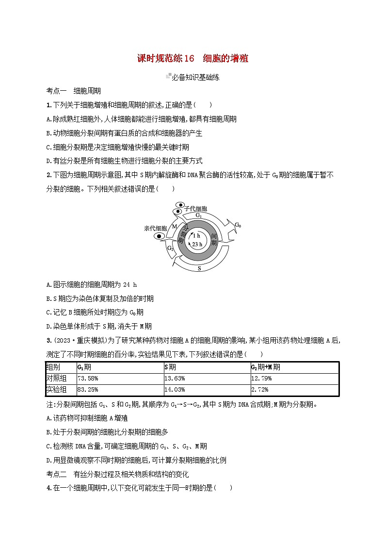 备战2025届高考生物一轮总复习第4单元细胞的生命历程课时规范练16细胞的增殖01
