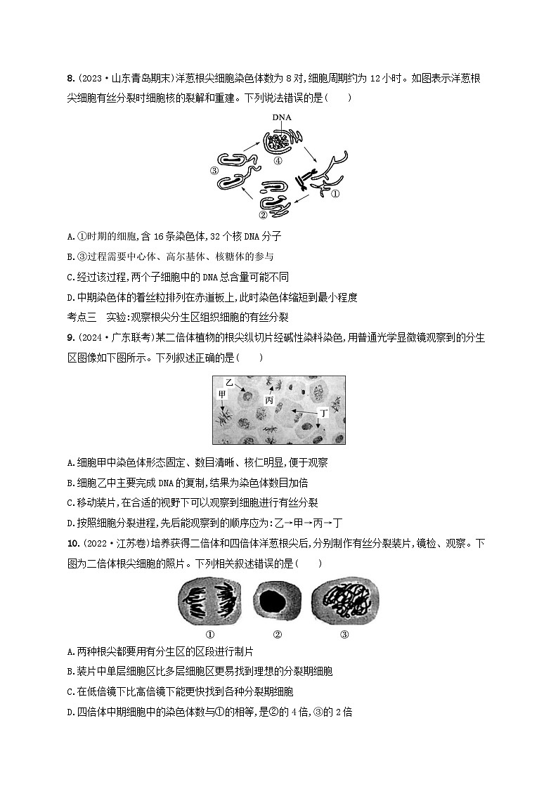 备战2025届高考生物一轮总复习第4单元细胞的生命历程课时规范练16细胞的增殖03