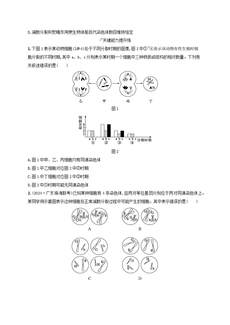 备战2025届高考生物一轮总复习第4单元细胞的生命历程课时规范练17减数分裂和受精作用03