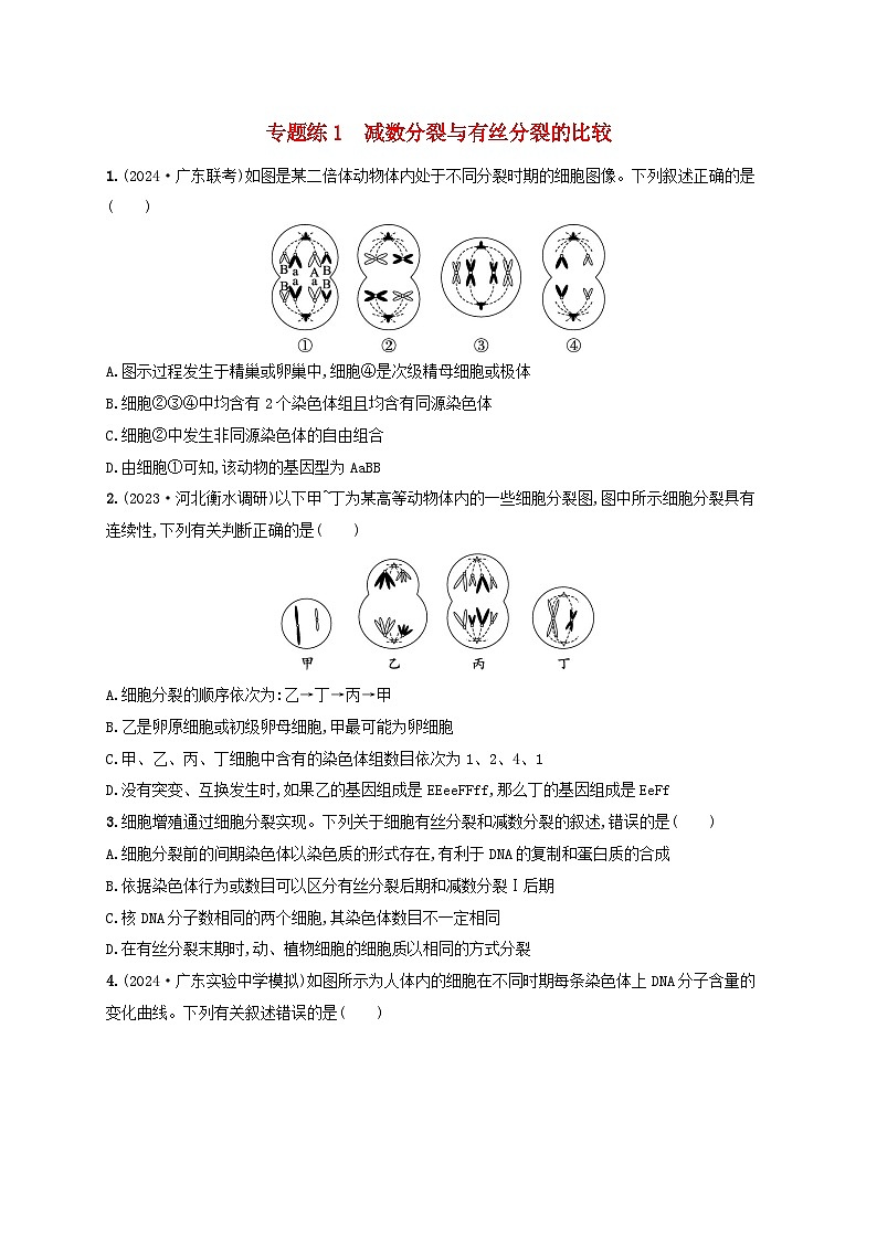 备战2025届高考生物一轮总复习第4单元细胞的生命历程专题练1减数分裂与有丝分裂的比较01