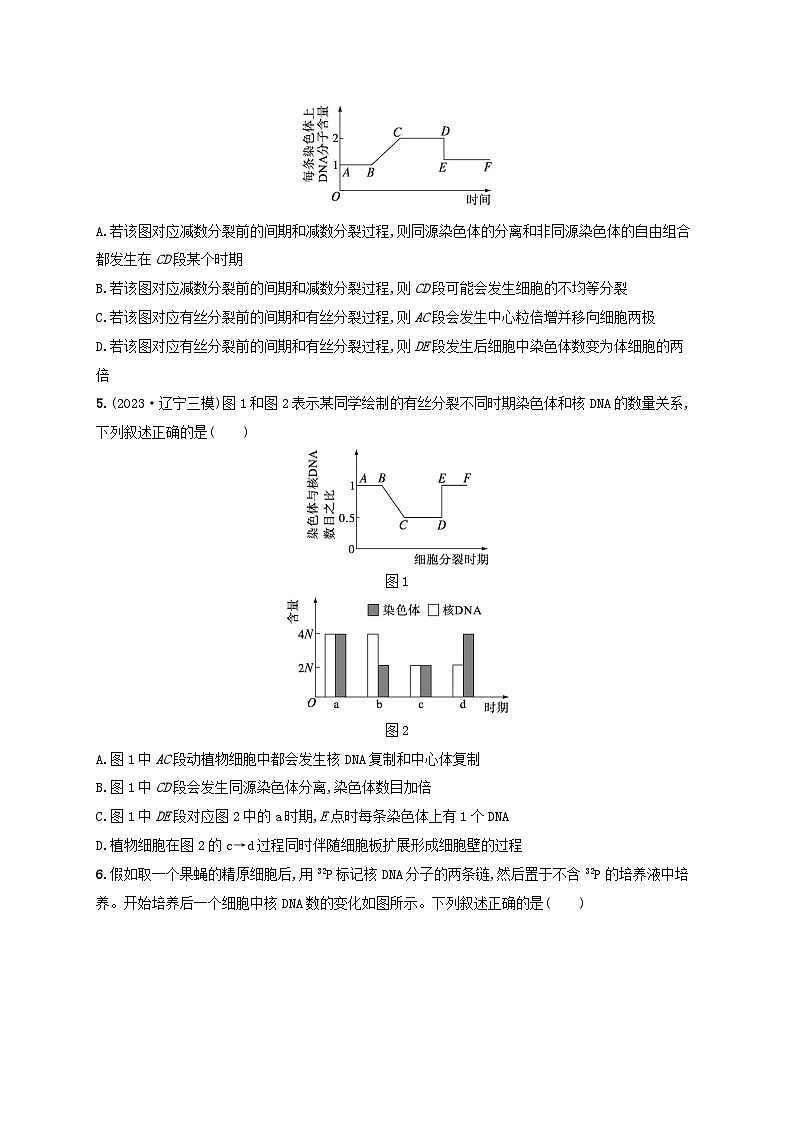 备战2025届高考生物一轮总复习第4单元细胞的生命历程专题练1减数分裂与有丝分裂的比较02