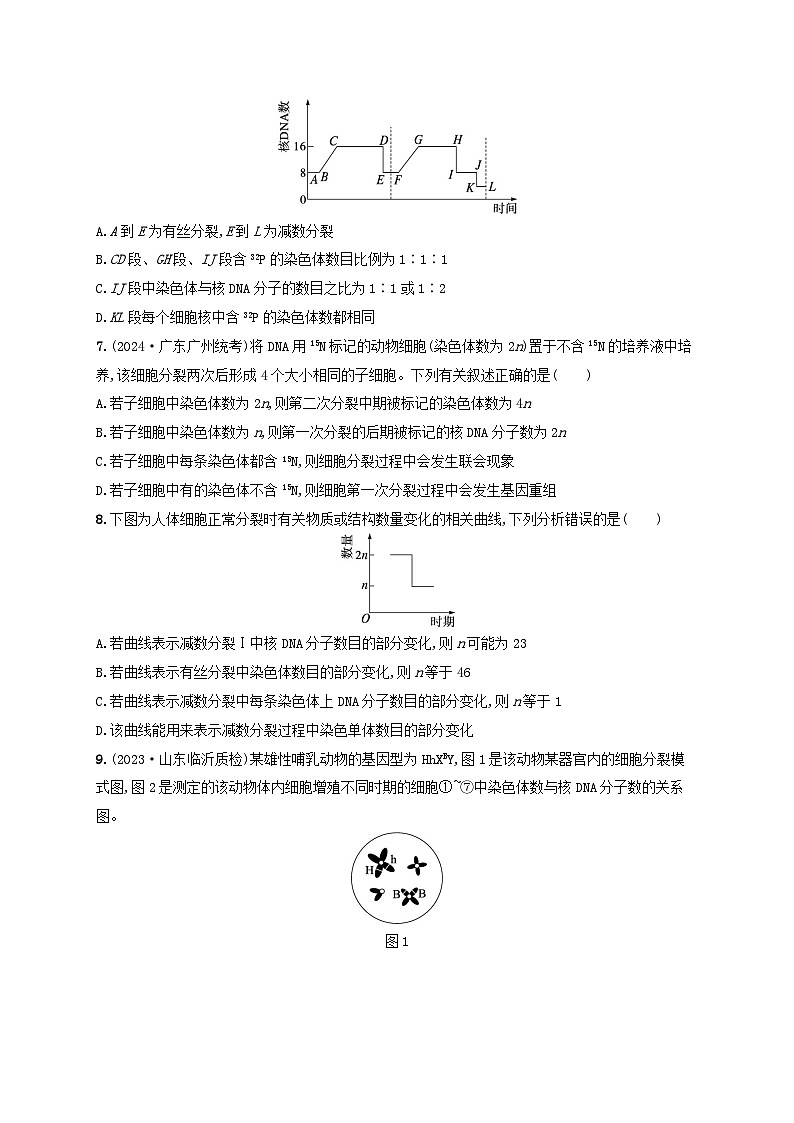 备战2025届高考生物一轮总复习第4单元细胞的生命历程专题练1减数分裂与有丝分裂的比较03