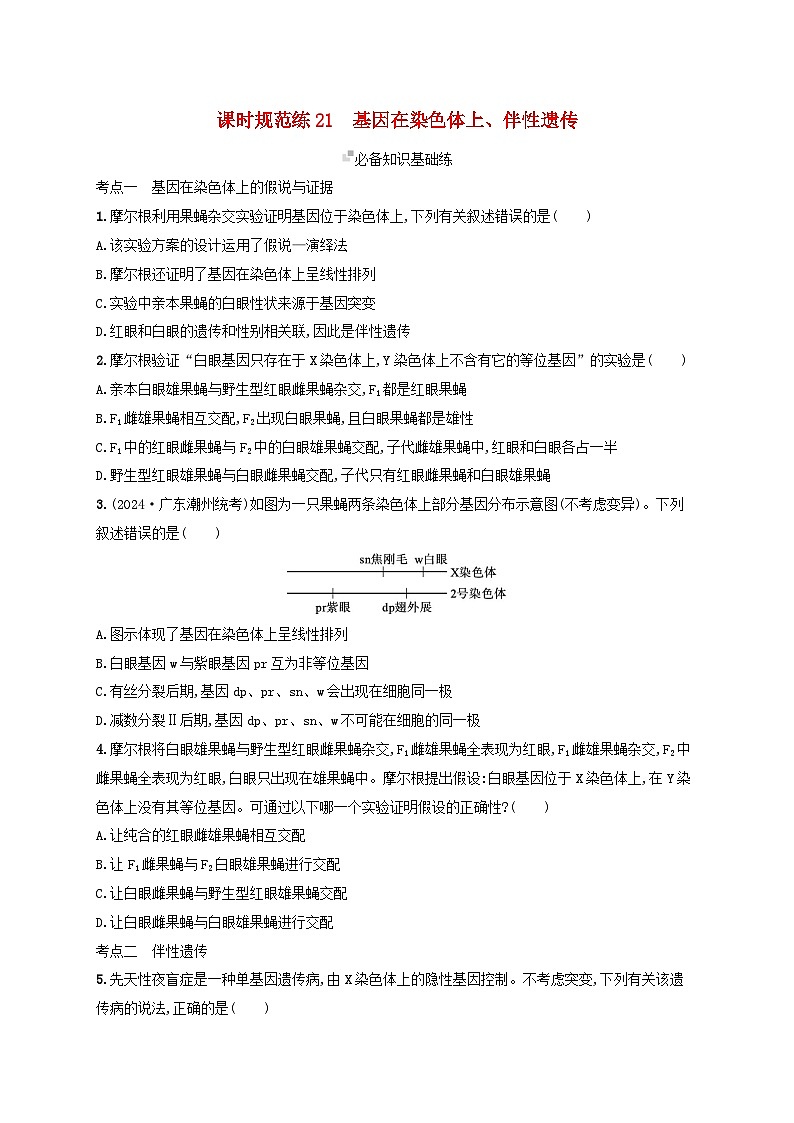 备战2025届高考生物一轮总复习第5单元孟德尔遗传定律与伴性遗传课时规范练21基因在染色体上伴性遗传01