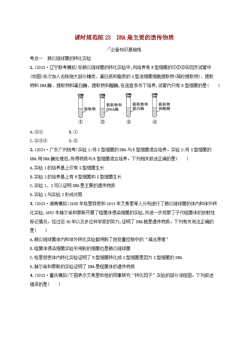备战2025届高考生物一轮总复习第6单元遗传的分子基础课时规范练23DNA是主要的遗传物质01