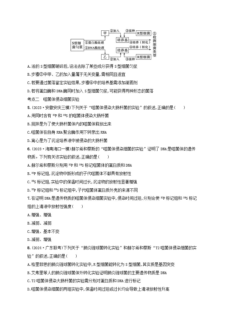 备战2025届高考生物一轮总复习第6单元遗传的分子基础课时规范练23DNA是主要的遗传物质02