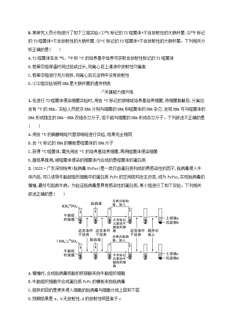 备战2025届高考生物一轮总复习第6单元遗传的分子基础课时规范练23DNA是主要的遗传物质03