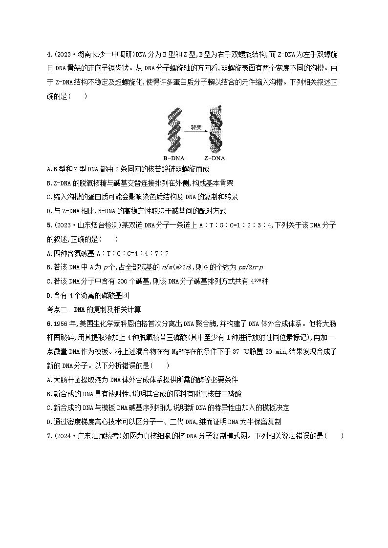 备战2025届高考生物一轮总复习第6单元遗传的分子基础课时规范练24DNA的结构和复制基因的本质第2页