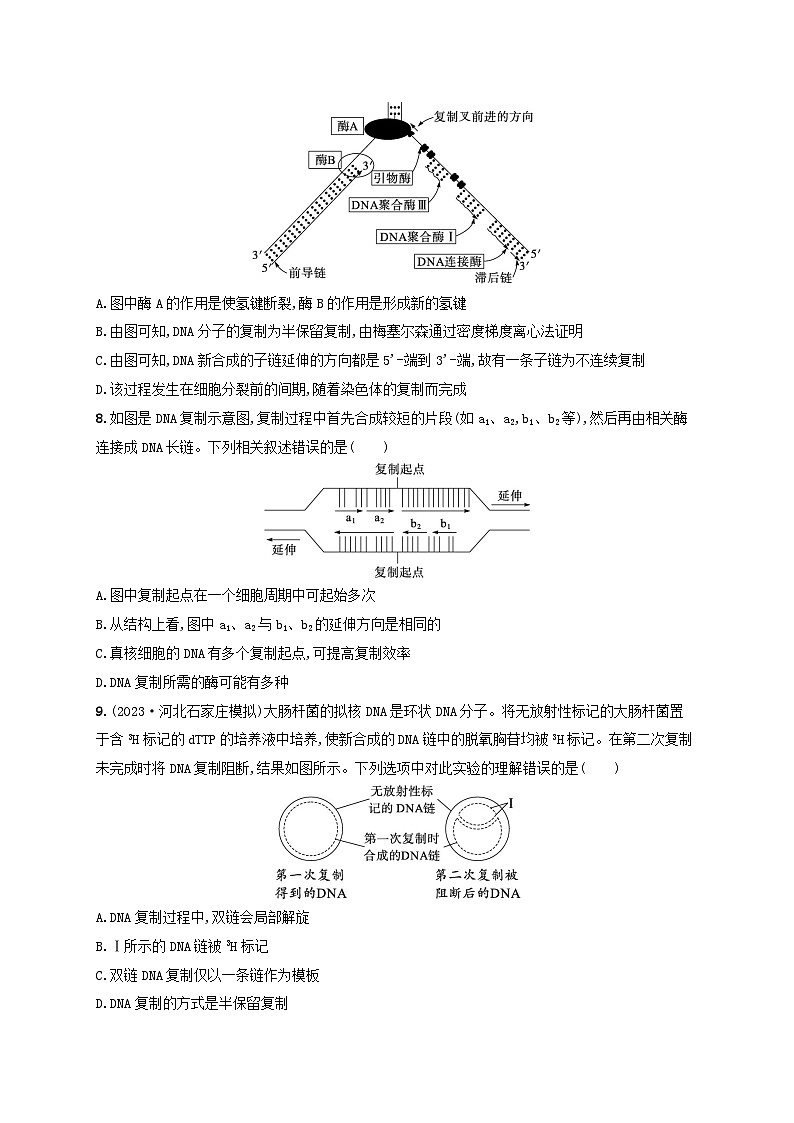 备战2025届高考生物一轮总复习第6单元遗传的分子基础课时规范练24DNA的结构和复制基因的本质第3页