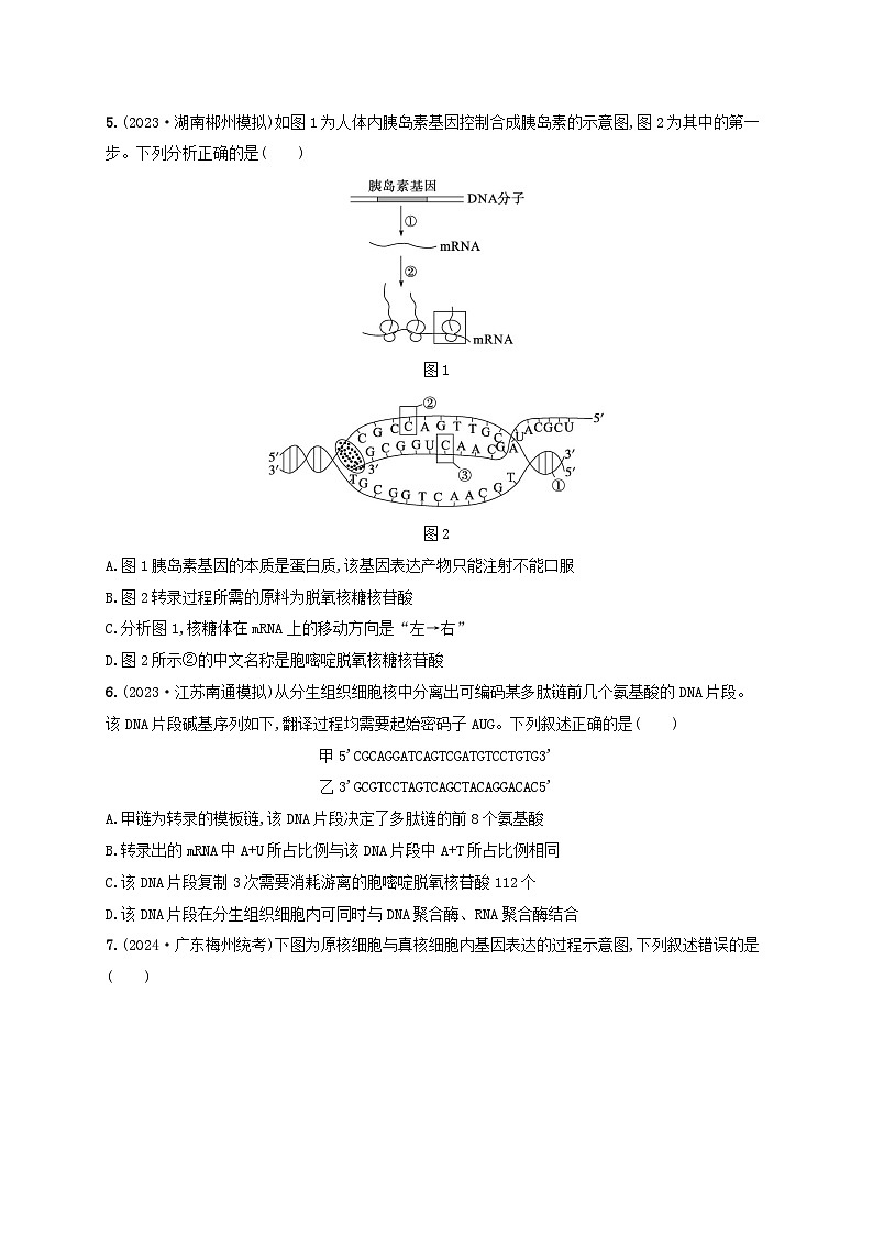 备战2025届高考生物一轮总复习第6单元遗传的分子基础课时规范练25基因的表达第2页