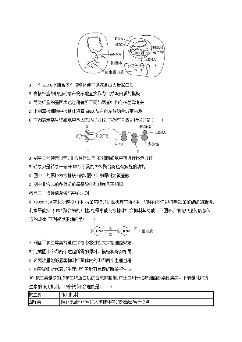 备战2025届高考生物一轮总复习第6单元遗传的分子基础课时规范练25基因的表达第3页