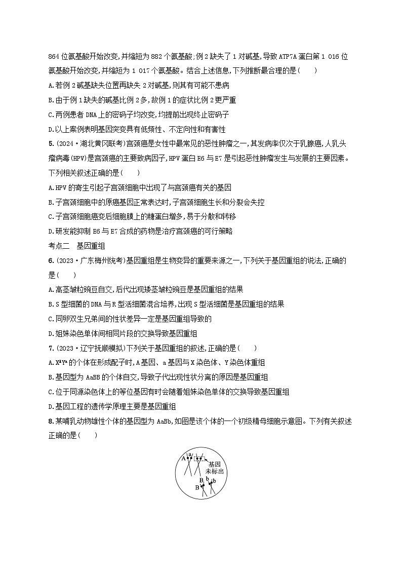 备战2025届高考生物一轮总复习第7单元生物的变异和进化课时规范练27基因突变基因重组第2页