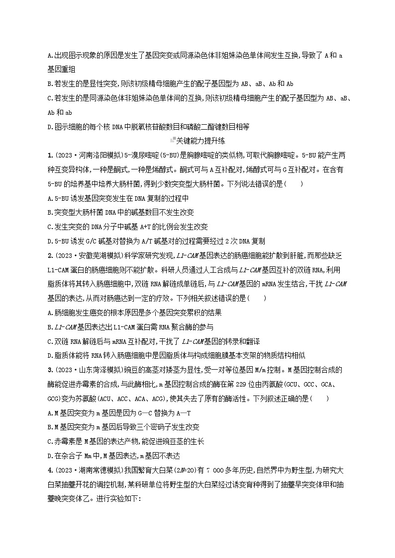 备战2025届高考生物一轮总复习第7单元生物的变异和进化课时规范练27基因突变基因重组第3页