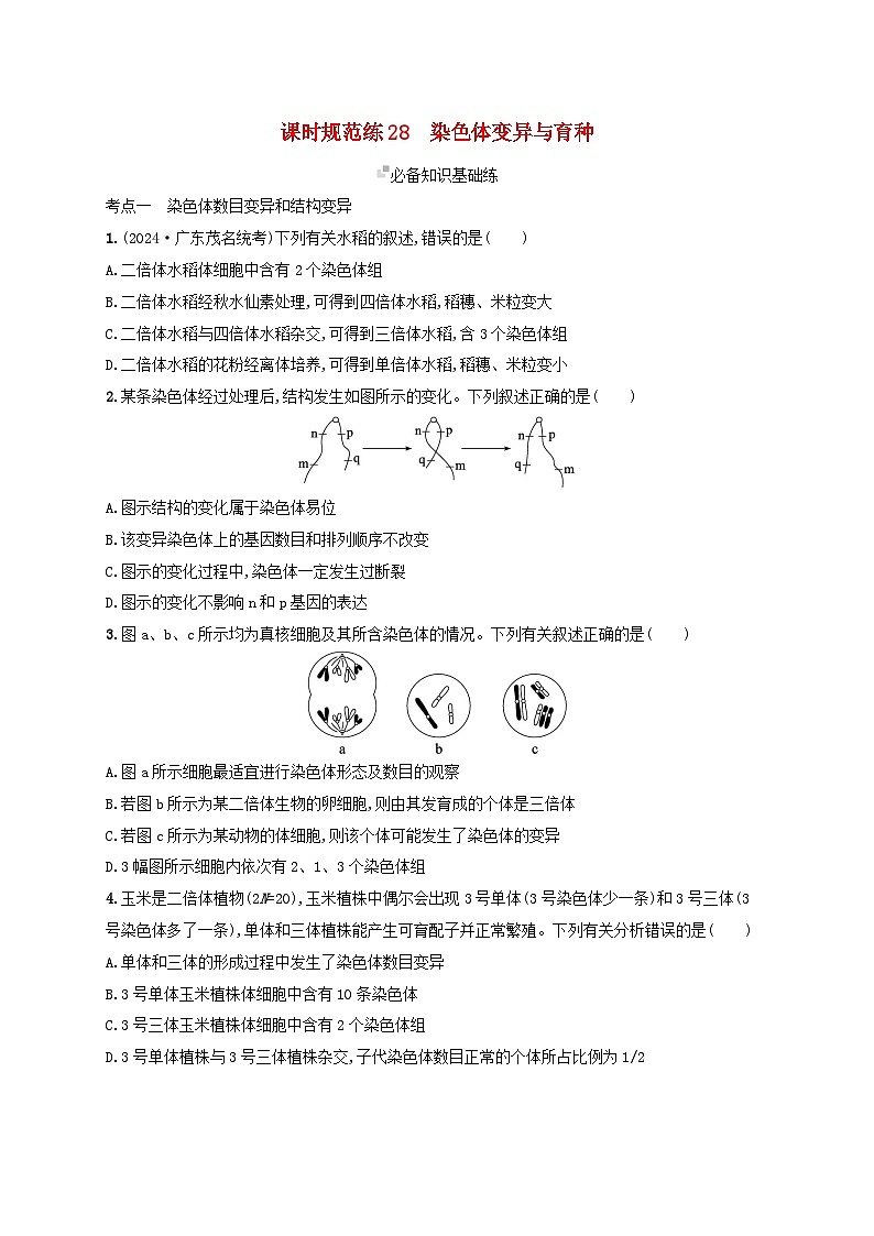 备战2025届高考生物一轮总复习第7单元生物的变异和进化课时规范练28染色体变异与育种第1页