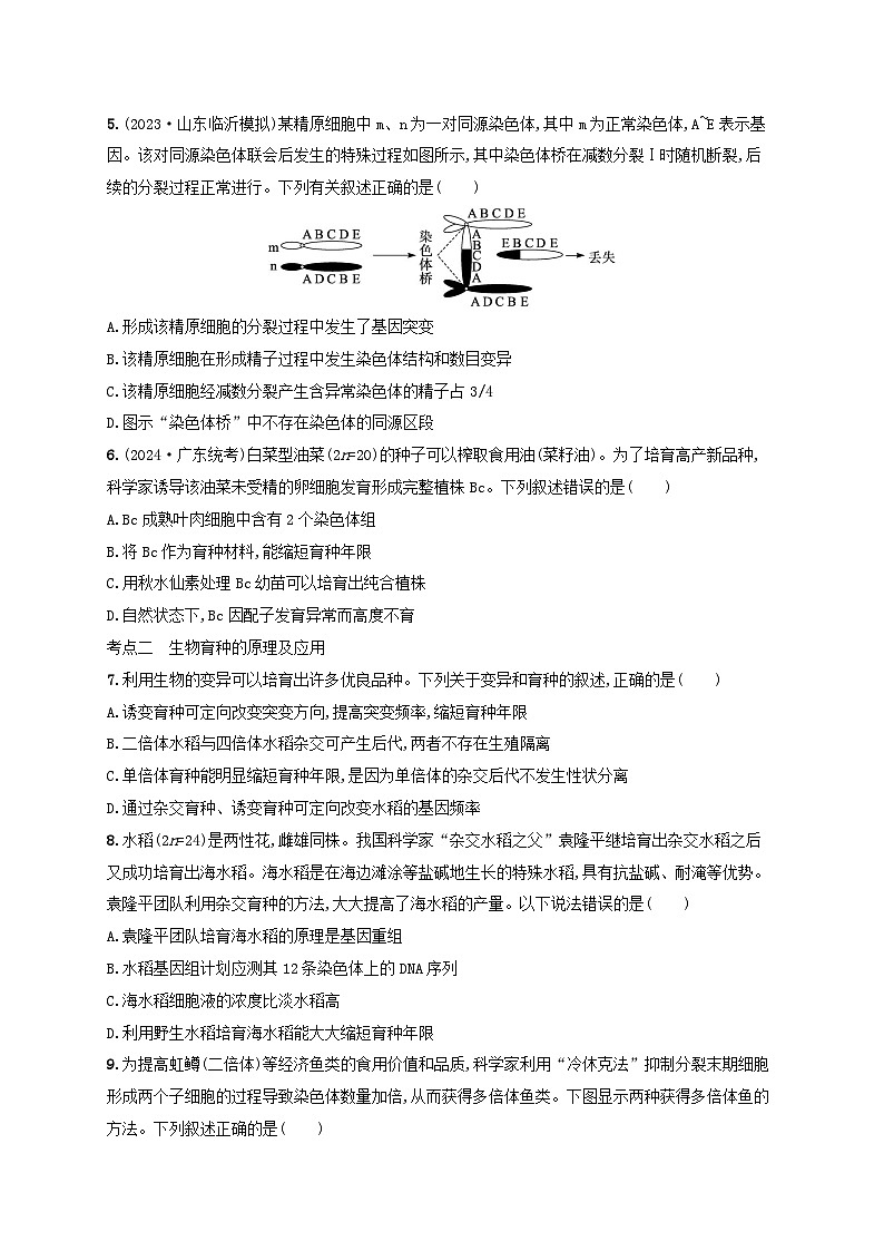 备战2025届高考生物一轮总复习第7单元生物的变异和进化课时规范练28染色体变异与育种第2页