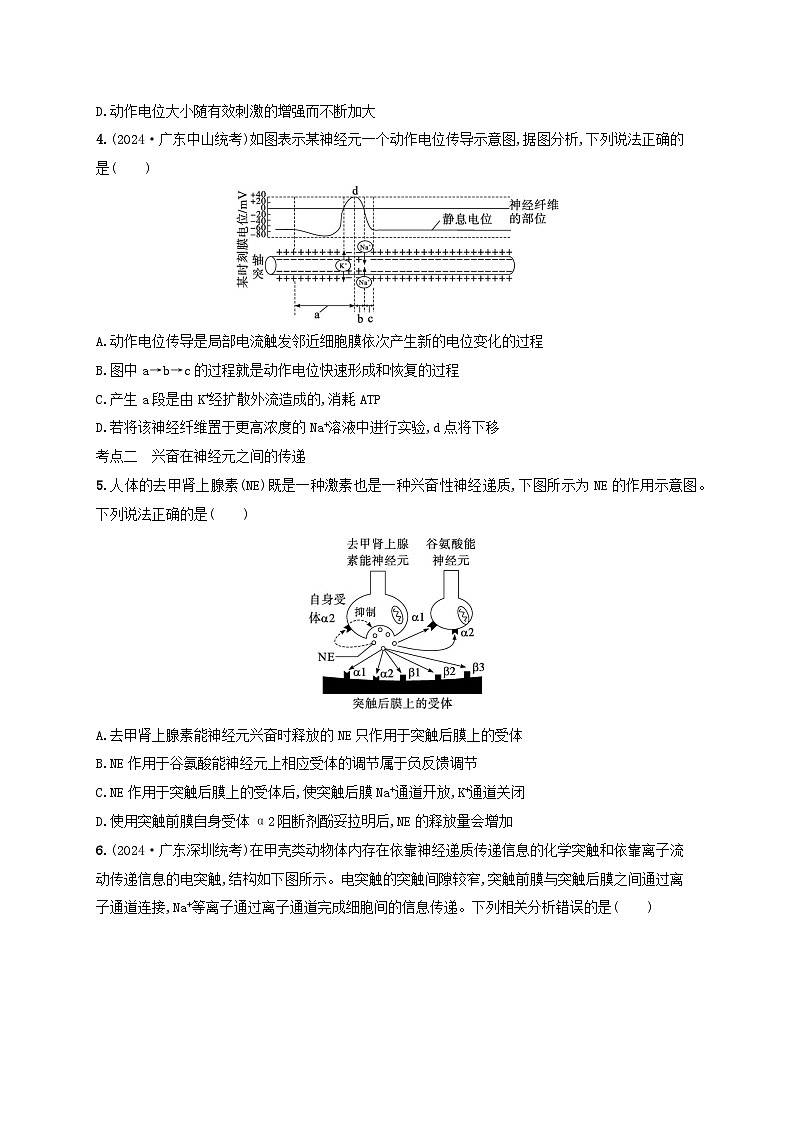 备战2025届高考生物一轮总复习第8单元稳态与调节课时规范练32神经冲动的产生传导和传递第2页