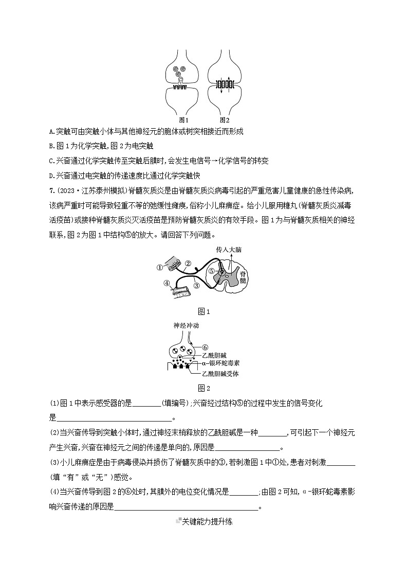 备战2025届高考生物一轮总复习第8单元稳态与调节课时规范练32神经冲动的产生传导和传递第3页