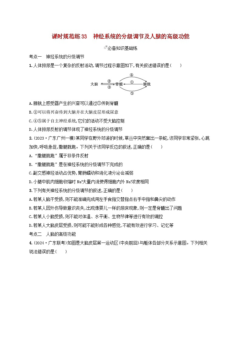 备战2025届高考生物一轮总复习第8单元稳态与调节课时规范练33神经系统的分级调节及人脑的高级功能第1页