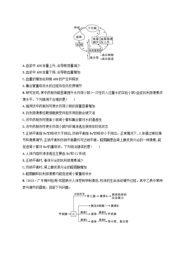备战2025届高考生物一轮总复习第8单元稳态与调节课时规范练35神经调节与体液调节的关系第2页