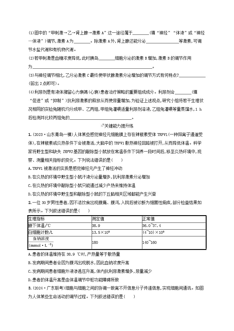 备战2025届高考生物一轮总复习第8单元稳态与调节课时规范练35神经调节与体液调节的关系第3页