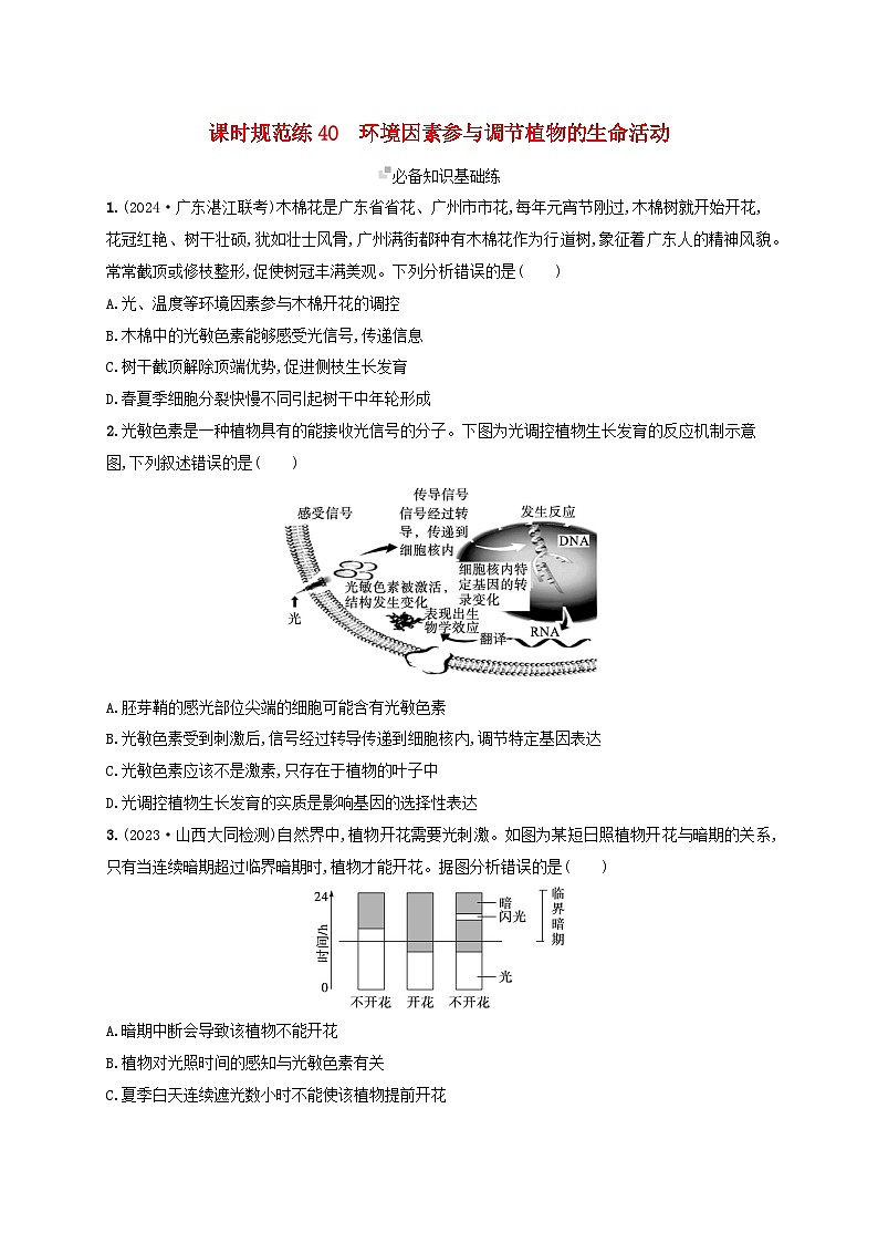 备战2025届高考生物一轮总复习第8单元稳态与调节课时规范练40环境因素参与调节植物的生命活动01