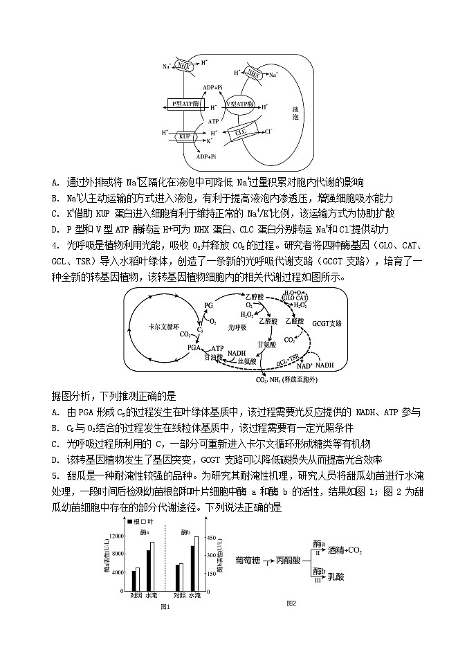 山东省实验中学2024届高三2月调研考试（生物）第2页