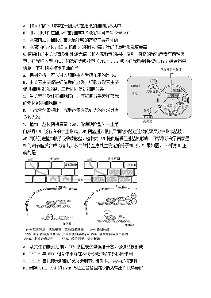 山东省实验中学2024届高三2月调研考试（生物）第3页