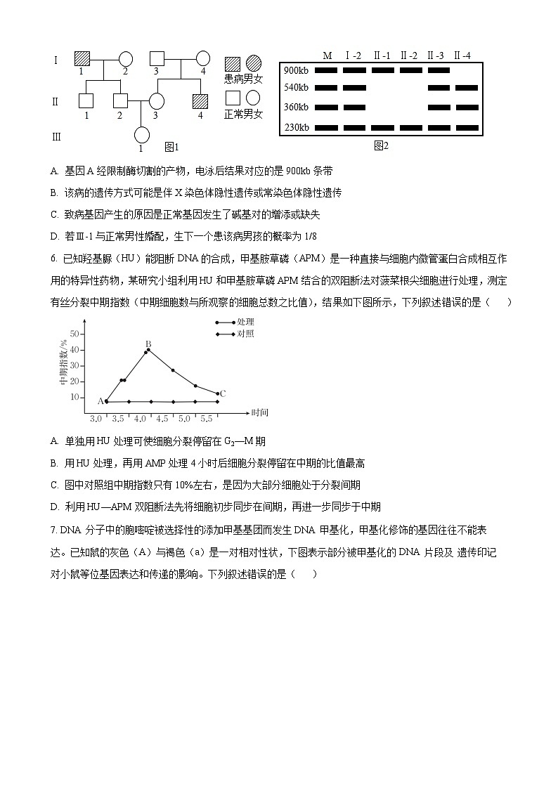 2024漯河高级中学高三下学期3月月考试题生物含解析第3页
