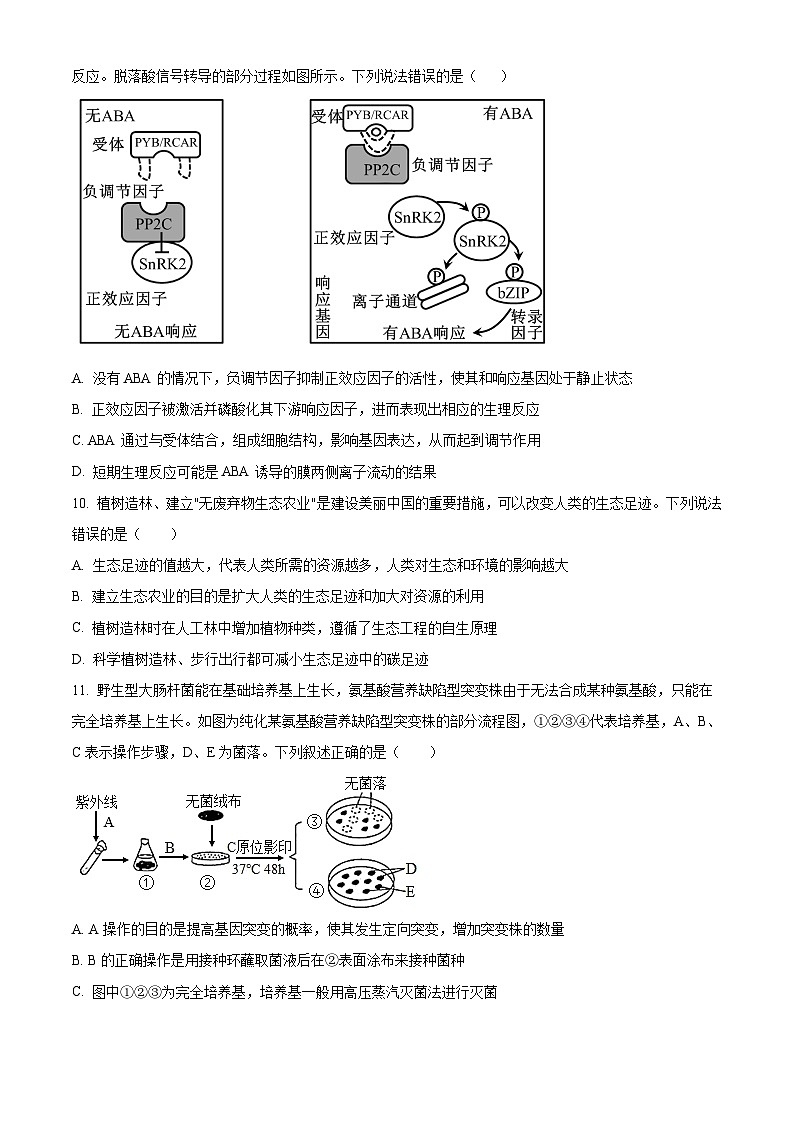 2024长沙四区县高三下学期3月调研考试（一模）生物含解析03