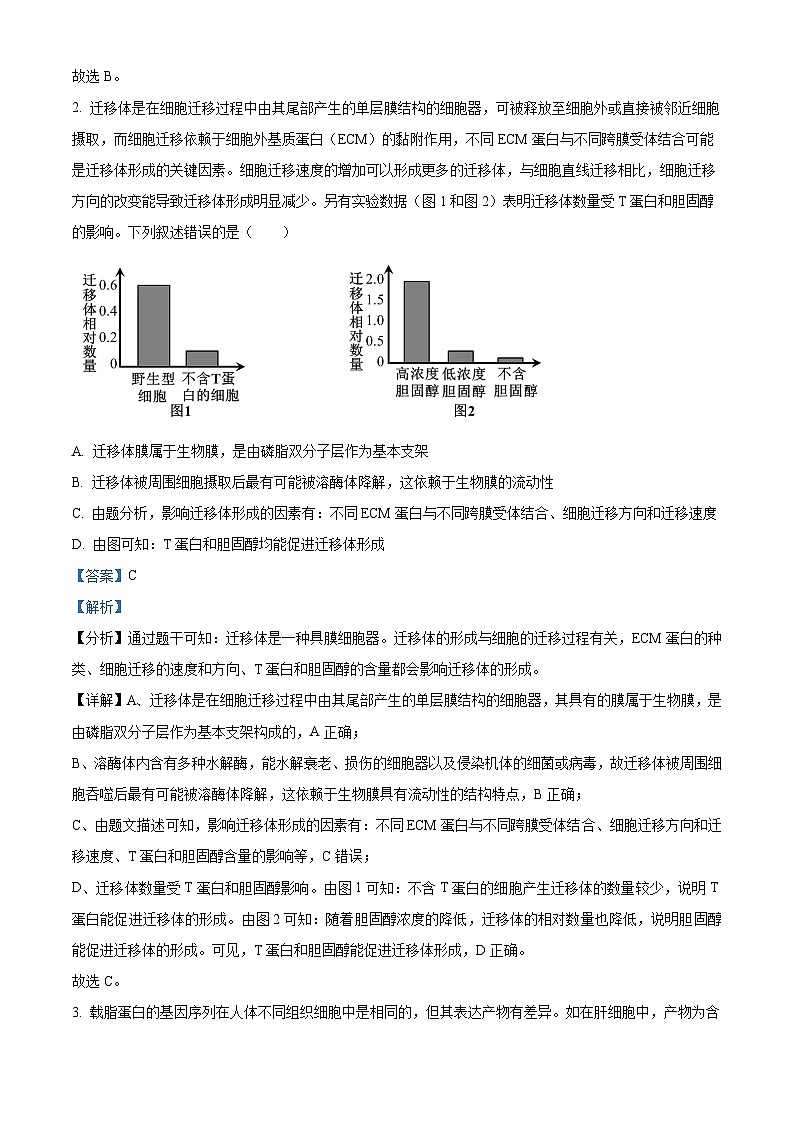 2024湖南省九校联盟高三下学期第二次联考试题生物含答案02