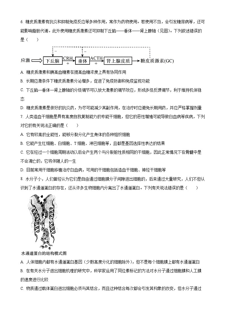 2024湖南省九校联盟高三下学期第二次联考试题生物含答案03