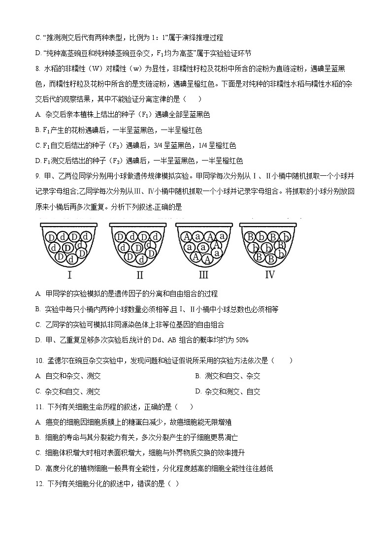 湖北省黄冈市黄梅县育才高级中学2023-2024学年高一下学期3月月考生物试题（原卷版+解析版）02