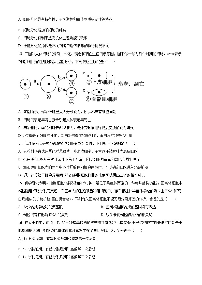 湖北省黄冈市黄梅县育才高级中学2023-2024学年高一下学期3月月考生物试题（原卷版+解析版）03
