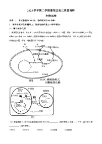 上海市普陀区2023届高三下学期二模生物试卷（Word版附解析）