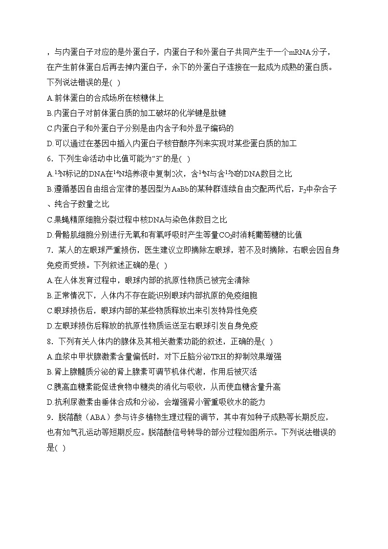 湖南省长沙市四区市联考2024届高三下学期3月调研考试（一模）生物试卷(含答案)02