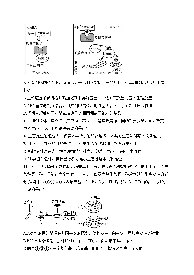 湖南省长沙市四区市联考2024届高三下学期3月调研考试（一模）生物试卷(含答案)03