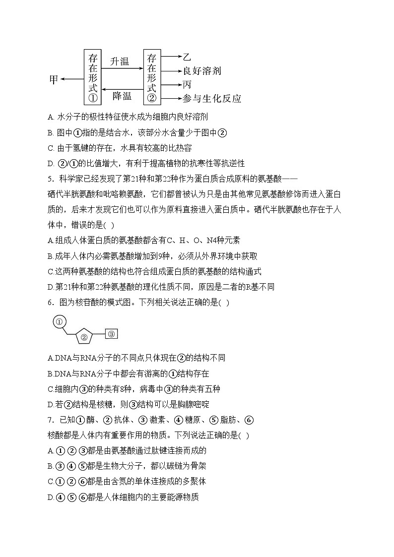 济宁市实验中学2022-2023学年高一下学期3月月考生物试卷(含答案)第2页