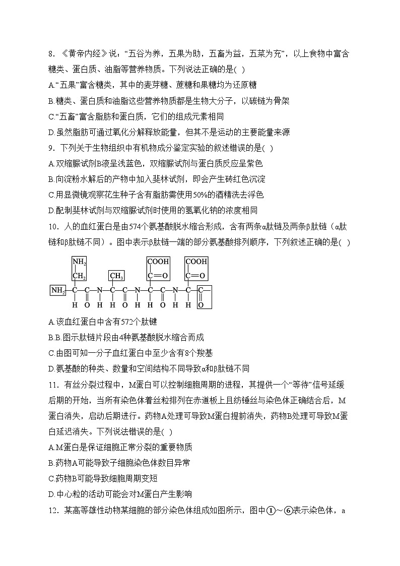 济宁市实验中学2022-2023学年高一下学期3月月考生物试卷(含答案)第3页